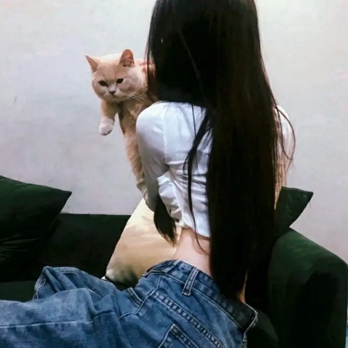 医妃难囚第三季